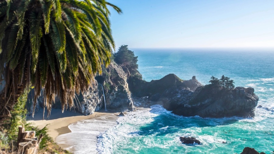 The Caribbean